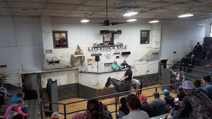 Ensuring Secure Transactions at the Sugarcreek Stockyard